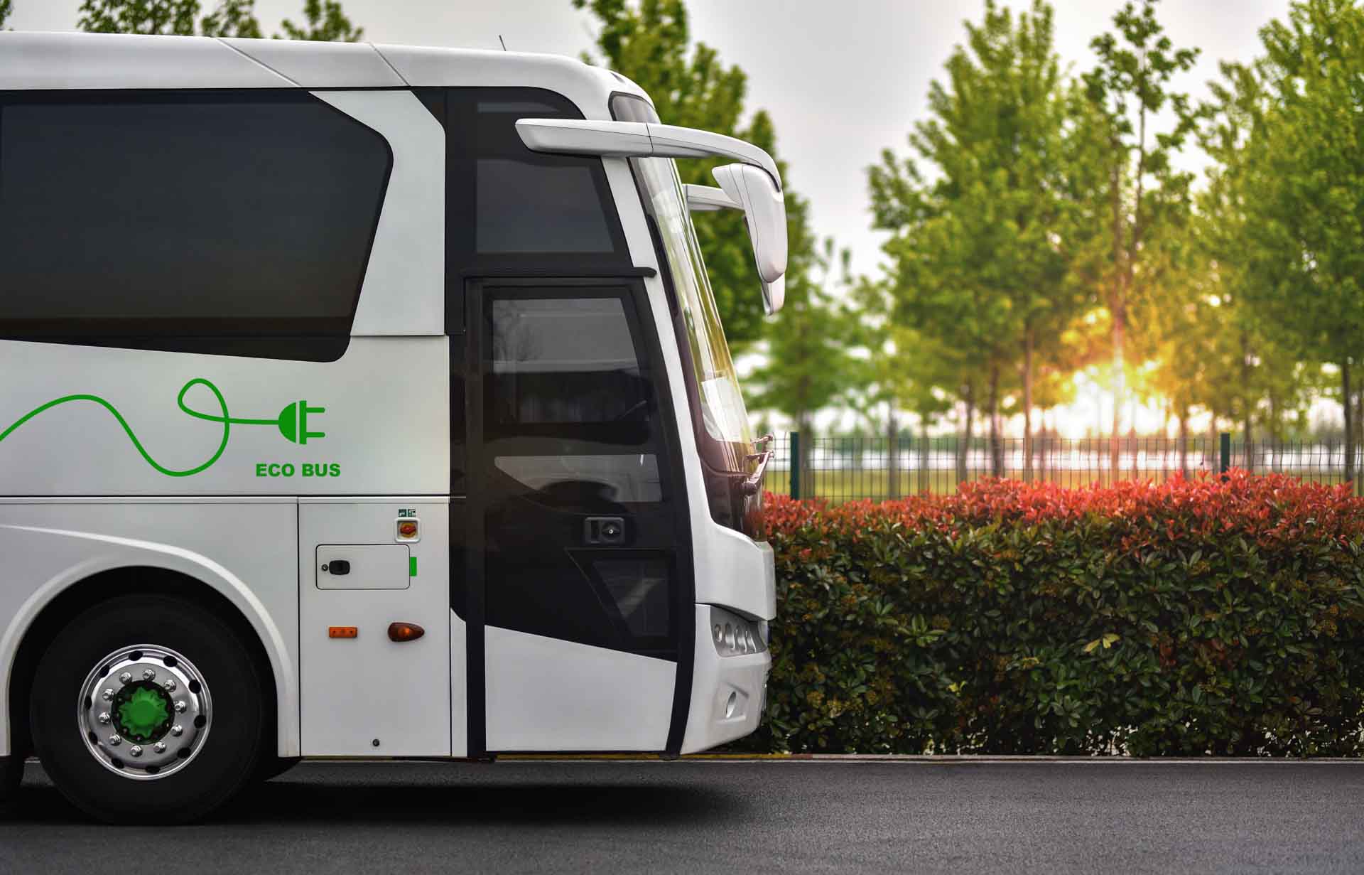 Weißer Elektrobus mit grünem Eco-Bus-Stecker-Logo parkt vor begrünter Umgebung bei Sonnenuntergang