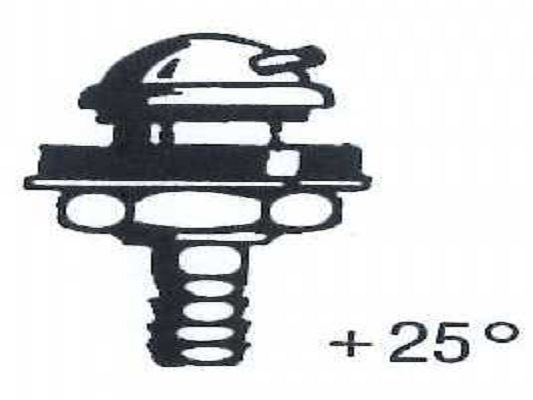 SWF 100096 Düse (E: 579630)