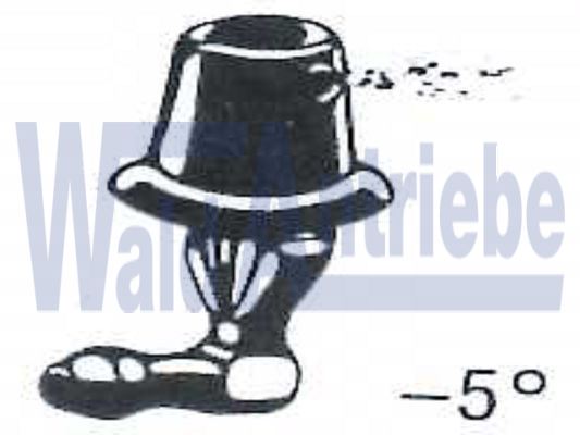 SWF 105668 Düse N.m.l.