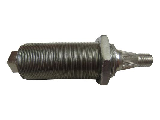 SWF 106336 Bearing bolt