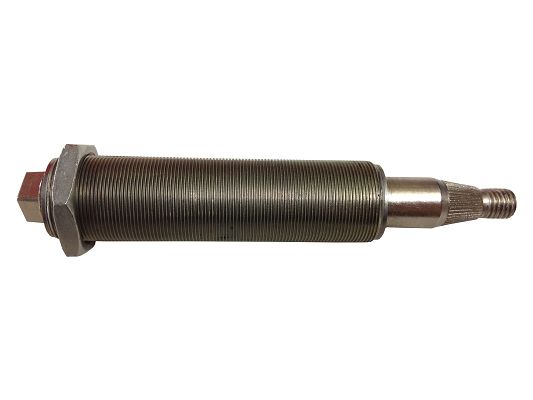 SWF 108231 Lagerbolzen WA121034