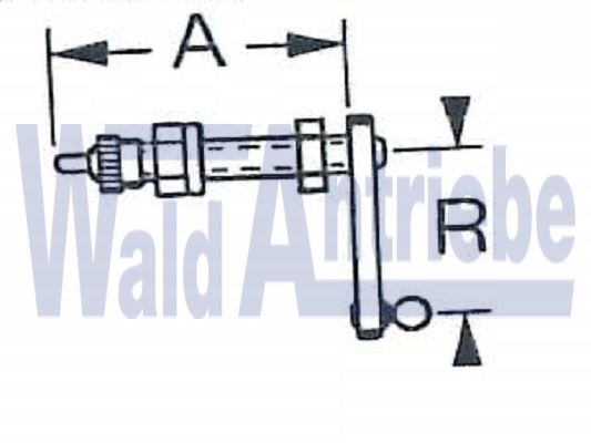 SWF 108836 Bearing bolt