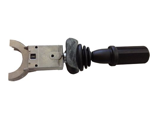 SWF 203176 Schalter LS