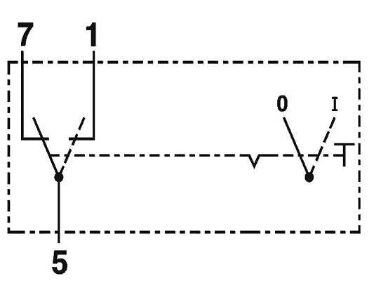 SWF 511019 Kippschalter