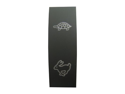 SWF 586890 Insert