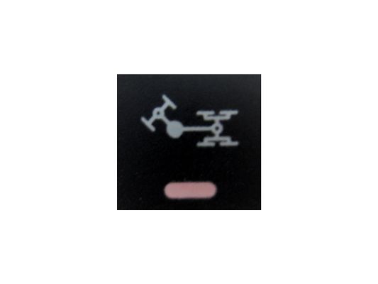 SWF 589498 Insert