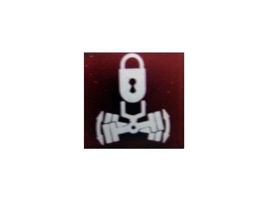 SWF 589794 Insert