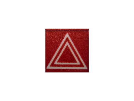 SWF 591337 Insert