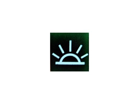 SWF 593305 Insert