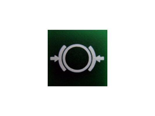 SWF 595158 Insert