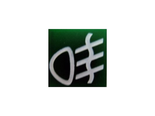 SWF 595181 Insert