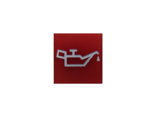 SWF 595199 Insert
