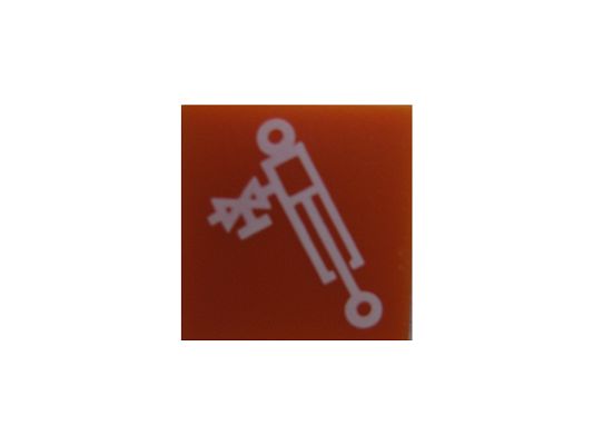 SWF 596154 Insert