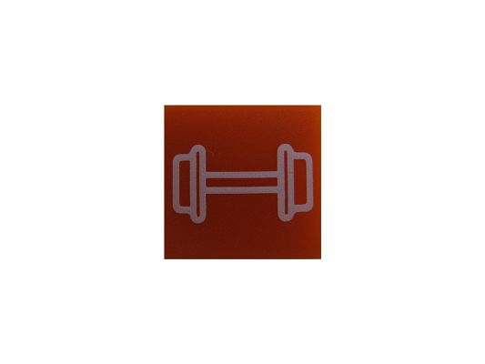 SWF 596159 Insert
