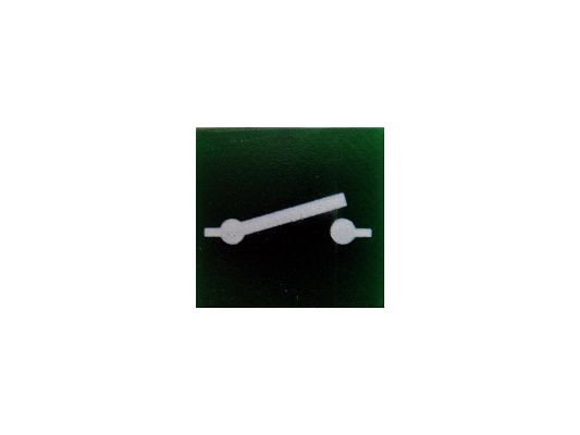 SWF 596397 Insert