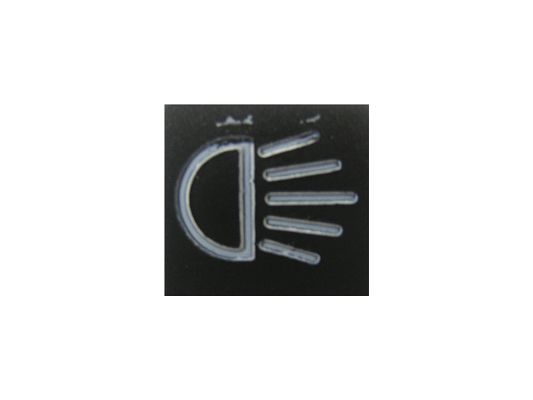 SWF 596619 Insert
