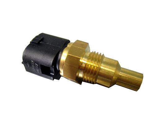 SWF 601607 Sensor Ohm
