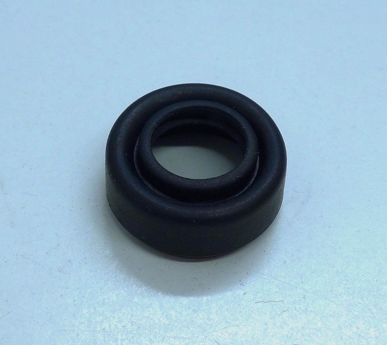 748477 Cap rubber seal