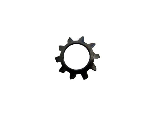 SWF 900028 Scheibe