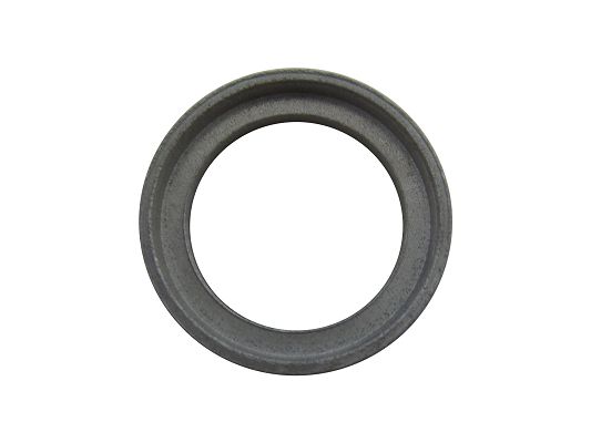 905560 Washer BO Original Al ,Wanray Fe/Zn/Ni
