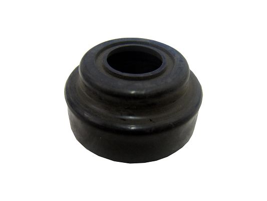 SWF 908982 Kappe