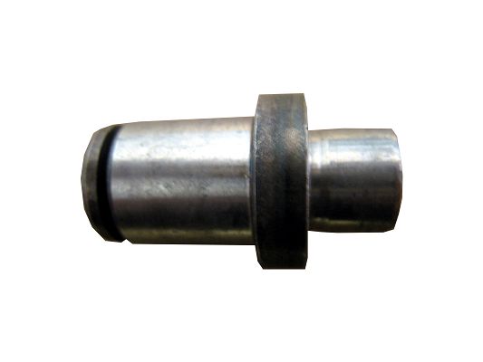 SWF 916236 Bolzen